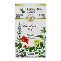 Celebration Herbals Blackberry Leaf Tea - 24 Tea Bags
