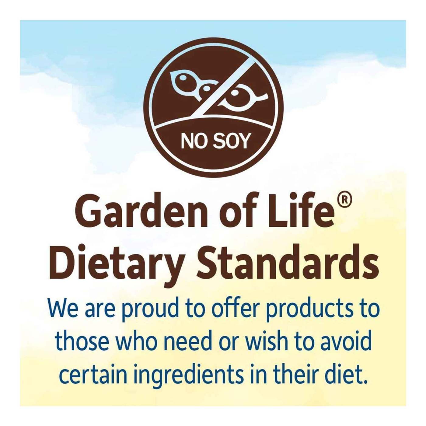 Garden Of Life Organic Meal Replacement Raw Organic Fit Chocolate