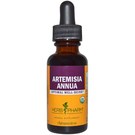 Artemisia Annua 1 fl oz Yeast Free by Herb Pharm
