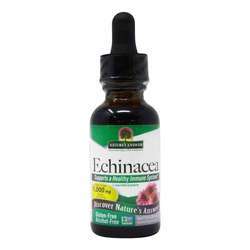 Nature's Answer Echinacea 1000 mg, Alcohol Free - 1 fl oz (30 ml)