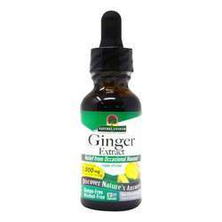 Nature's Answer Ginger Root AF, Alcohol Free - 1 fl oz (30 ml)