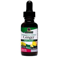 Nature's Answer Ginger Root - 1 fl oz
