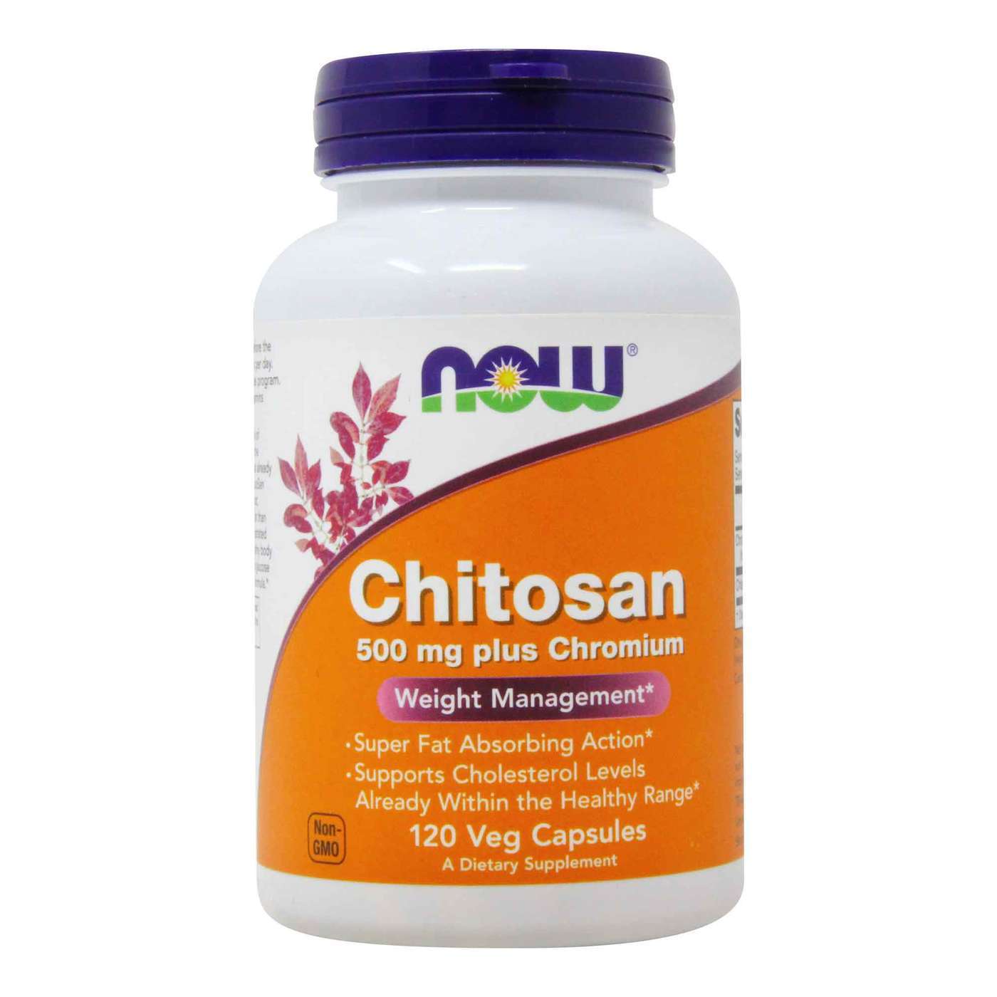 NOW Foods  Chitosan 500mg Plus Chromium 