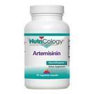 Artemisinin 90 Vegetarian Capsules Yeast Free by Nutricology