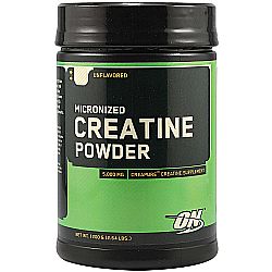 Optimum Nutrition Micronized Creatine Powder - 1200 g