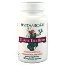 Chaste Tree Berry 60 VCapsules Yeast Free by Vitanica